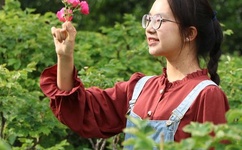 你是不是欠C了在线阅读